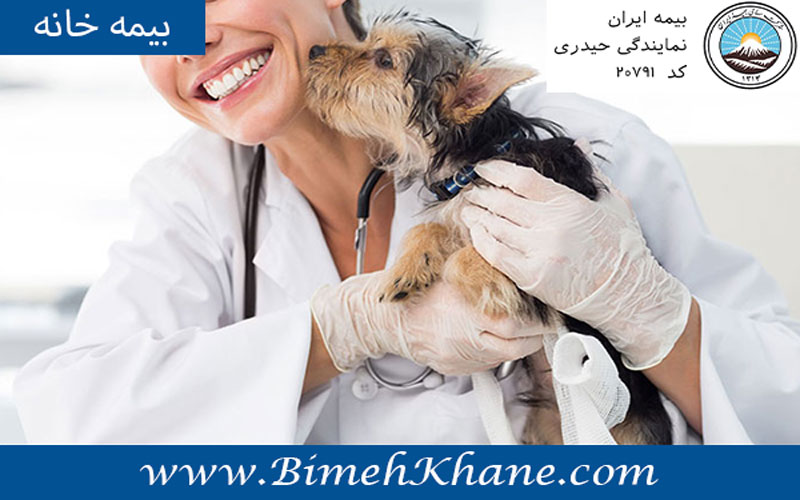 بیمه مسئولیت حرفه ای دامپزشکان